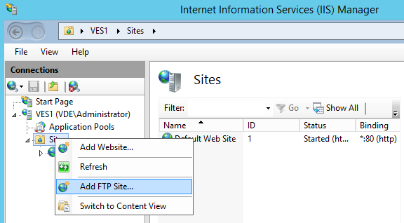 Add a FTP site in IIS